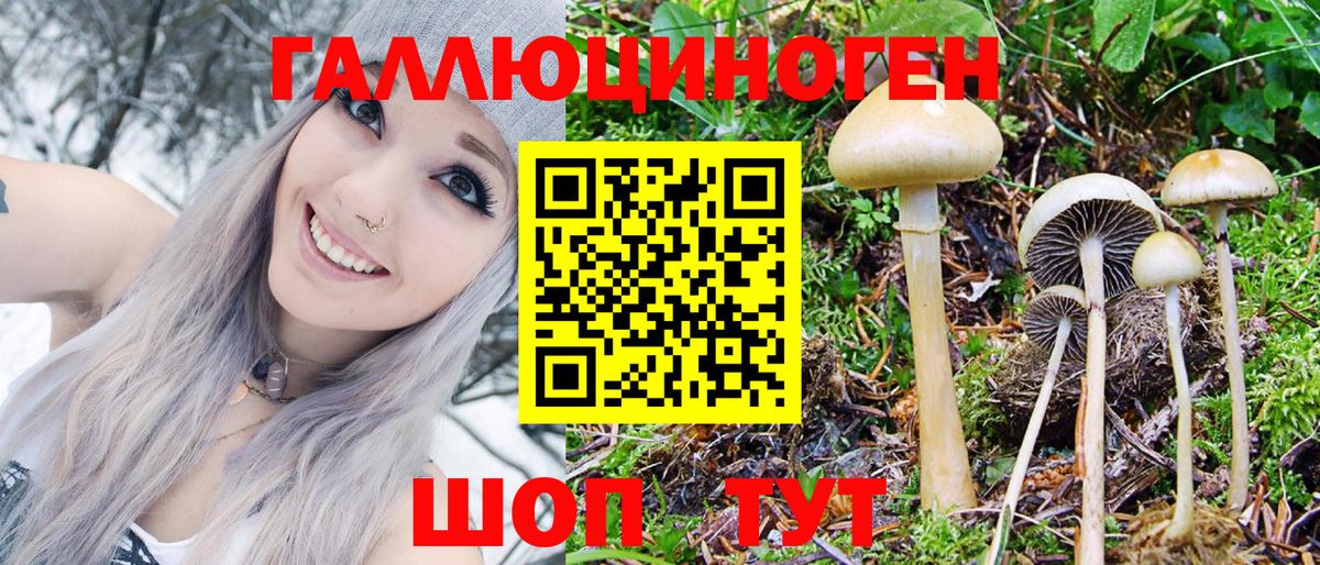 Псилоцибиновые грибы Psilocybe Вичуга