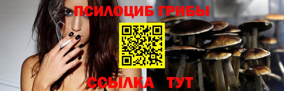 Галлюциногенные грибы прущие грибы Вичуга