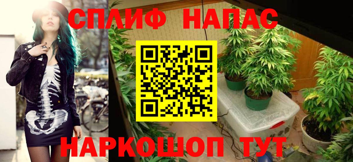 Шишки марихуана OG Kush Вичуга